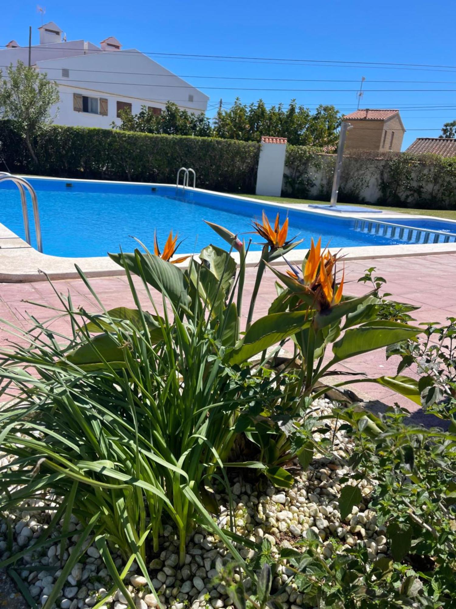 Appartement Cala Puntal à Vinarós Extérieur photo